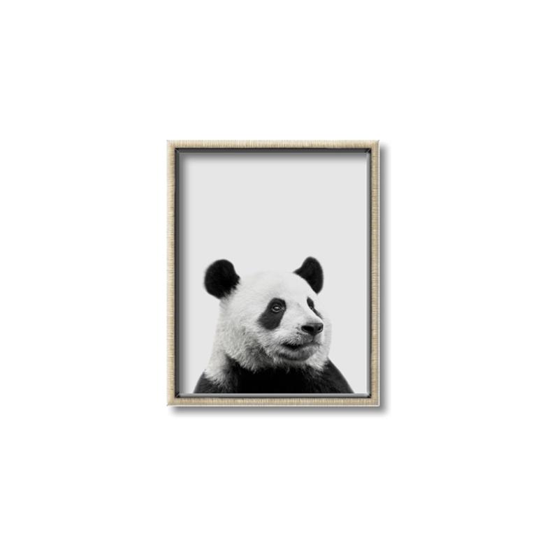Picture of Panda Portrait _GroupedProduct_Rectangle_Portrait_Mini_ _GroupedProduct_Rectangle_Portrait_Canvas_Framed_