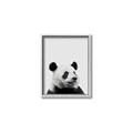 Picture of Panda Portrait _GroupedProduct_Rectangle_Portrait_Mini_ _GroupedProduct_Rectangle_Portrait_Canvas_Framed_