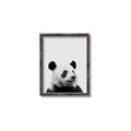 Picture of Panda Portrait _GroupedProduct_Rectangle_Portrait_Mini_ _GroupedProduct_Rectangle_Portrait_Canvas_Framed_