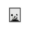 Picture of Panda Portrait _GroupedProduct_Rectangle_Portrait_Mini_ _GroupedProduct_Rectangle_Portrait_Canvas_Framed_