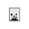 Picture of Panda Portrait _GroupedProduct_Rectangle_Portrait_Mini_ _GroupedProduct_Rectangle_Portrait_Canvas_Framed_