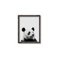 Picture of Panda Portrait _GroupedProduct_Rectangle_Portrait_Mini_ _GroupedProduct_Rectangle_Portrait_Canvas_Framed_