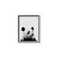 Picture of Panda Portrait _GroupedProduct_Rectangle_Portrait_Mini_ _GroupedProduct_Rectangle_Portrait_Canvas_Framed_