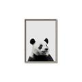 Picture of Panda Portrait _GroupedProduct_Rectangle_Portrait_Mini_ _GroupedProduct_Rectangle_Portrait_Canvas_Framed_