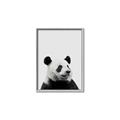 Picture of Panda Portrait _GroupedProduct_Rectangle_Portrait_Mini_ _GroupedProduct_Rectangle_Portrait_Canvas_Framed_