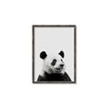 Picture of Panda Portrait _GroupedProduct_Rectangle_Portrait_Mini_ _GroupedProduct_Rectangle_Portrait_Canvas_Framed_