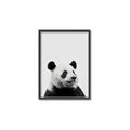 Picture of Panda Portrait _GroupedProduct_Rectangle_Portrait_Mini_ _GroupedProduct_Rectangle_Portrait_Canvas_Framed_