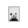Picture of Panda Portrait _GroupedProduct_Rectangle_Portrait_Mini_ _GroupedProduct_Rectangle_Portrait_Canvas_Framed_