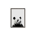 Picture of Panda Portrait _GroupedProduct_Rectangle_Portrait_Mini_ _GroupedProduct_Rectangle_Portrait_Canvas_Framed_