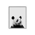 Picture of Panda Portrait _GroupedProduct_Rectangle_Portrait_Mini_ _GroupedProduct_Rectangle_Portrait_Canvas_Framed_