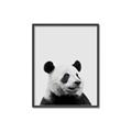 Picture of Panda Portrait _GroupedProduct_Rectangle_Portrait_Mini_ _GroupedProduct_Rectangle_Portrait_Canvas_Framed_