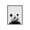 Picture of Panda Portrait _GroupedProduct_Rectangle_Portrait_Mini_ _GroupedProduct_Rectangle_Portrait_Canvas_Framed_
