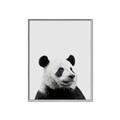 Picture of Panda Portrait _GroupedProduct_Rectangle_Portrait_Mini_ _GroupedProduct_Rectangle_Portrait_Canvas_Framed_