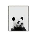 Picture of Panda Portrait _GroupedProduct_Rectangle_Portrait_Mini_ _GroupedProduct_Rectangle_Portrait_Canvas_Framed_