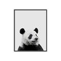 Picture of Panda Portrait _GroupedProduct_Rectangle_Portrait_Mini_ _GroupedProduct_Rectangle_Portrait_Canvas_Framed_