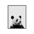Picture of Panda Portrait _GroupedProduct_Rectangle_Portrait_Mini_ _GroupedProduct_Rectangle_Portrait_Canvas_Framed_