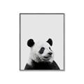 Picture of Panda Portrait _GroupedProduct_Rectangle_Portrait_Mini_ _GroupedProduct_Rectangle_Portrait_Canvas_Framed_