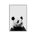 Picture of Panda Portrait _GroupedProduct_Rectangle_Portrait_Mini_ _GroupedProduct_Rectangle_Portrait_Canvas_Framed_