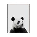 Picture of Panda Portrait _GroupedProduct_Rectangle_Portrait_Mini_ _GroupedProduct_Rectangle_Portrait_Canvas_Framed_