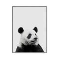 Picture of Panda Portrait _GroupedProduct_Rectangle_Portrait_Mini_ _GroupedProduct_Rectangle_Portrait_Canvas_Framed_