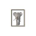 Picture of Behind Elephant _GroupedProduct_Rectangle_Portrait_Mini_ _GroupedProduct_Rectangle_Portrait_Canvas_Framed_