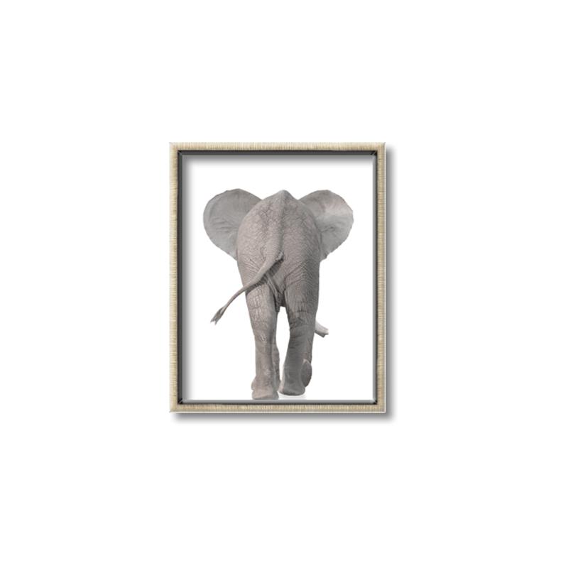 Picture of Behind Elephant _GroupedProduct_Rectangle_Portrait_Mini_ _GroupedProduct_Rectangle_Portrait_Canvas_Framed_