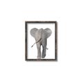 Picture of Behind Elephant _GroupedProduct_Rectangle_Portrait_Mini_ _GroupedProduct_Rectangle_Portrait_Canvas_Framed_