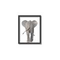 Picture of Behind Elephant _GroupedProduct_Rectangle_Portrait_Mini_ _GroupedProduct_Rectangle_Portrait_Canvas_Framed_