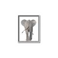 Picture of Behind Elephant _GroupedProduct_Rectangle_Portrait_Mini_ _GroupedProduct_Rectangle_Portrait_Canvas_Framed_