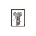 Picture of Behind Elephant _GroupedProduct_Rectangle_Portrait_Mini_ _GroupedProduct_Rectangle_Portrait_Canvas_Framed_