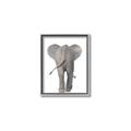 Picture of Behind Elephant _GroupedProduct_Rectangle_Portrait_Mini_ _GroupedProduct_Rectangle_Portrait_Canvas_Framed_