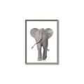 Picture of Behind Elephant _GroupedProduct_Rectangle_Portrait_Mini_ _GroupedProduct_Rectangle_Portrait_Canvas_Framed_