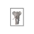 Picture of Behind Elephant _GroupedProduct_Rectangle_Portrait_Mini_ _GroupedProduct_Rectangle_Portrait_Canvas_Framed_