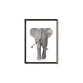 Picture of Behind Elephant _GroupedProduct_Rectangle_Portrait_Mini_ _GroupedProduct_Rectangle_Portrait_Canvas_Framed_