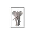 Picture of Behind Elephant _GroupedProduct_Rectangle_Portrait_Mini_ _GroupedProduct_Rectangle_Portrait_Canvas_Framed_