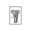 Picture of Behind Elephant _GroupedProduct_Rectangle_Portrait_Mini_ _GroupedProduct_Rectangle_Portrait_Canvas_Framed_