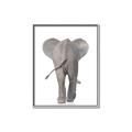 Picture of Behind Elephant _GroupedProduct_Rectangle_Portrait_Mini_ _GroupedProduct_Rectangle_Portrait_Canvas_Framed_