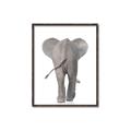 Picture of Behind Elephant _GroupedProduct_Rectangle_Portrait_Mini_ _GroupedProduct_Rectangle_Portrait_Canvas_Framed_