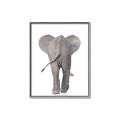 Picture of Behind Elephant _GroupedProduct_Rectangle_Portrait_Mini_ _GroupedProduct_Rectangle_Portrait_Canvas_Framed_