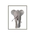 Picture of Behind Elephant _GroupedProduct_Rectangle_Portrait_Mini_ _GroupedProduct_Rectangle_Portrait_Canvas_Framed_