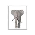 Picture of Behind Elephant _GroupedProduct_Rectangle_Portrait_Mini_ _GroupedProduct_Rectangle_Portrait_Canvas_Framed_