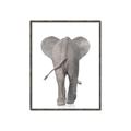Picture of Behind Elephant _GroupedProduct_Rectangle_Portrait_Mini_ _GroupedProduct_Rectangle_Portrait_Canvas_Framed_