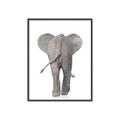 Picture of Behind Elephant _GroupedProduct_Rectangle_Portrait_Mini_ _GroupedProduct_Rectangle_Portrait_Canvas_Framed_