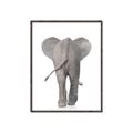Picture of Behind Elephant _GroupedProduct_Rectangle_Portrait_Mini_ _GroupedProduct_Rectangle_Portrait_Canvas_Framed_