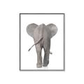Picture of Behind Elephant _GroupedProduct_Rectangle_Portrait_Mini_ _GroupedProduct_Rectangle_Portrait_Canvas_Framed_