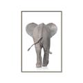 Picture of Behind Elephant _GroupedProduct_Rectangle_Portrait_Mini_ _GroupedProduct_Rectangle_Portrait_Canvas_Framed_