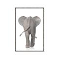 Picture of Behind Elephant _GroupedProduct_Rectangle_Portrait_Mini_ _GroupedProduct_Rectangle_Portrait_Canvas_Framed_