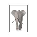 Picture of Behind Elephant _GroupedProduct_Rectangle_Portrait_Mini_ _GroupedProduct_Rectangle_Portrait_Canvas_Framed_