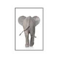 Picture of Behind Elephant _GroupedProduct_Rectangle_Portrait_Mini_ _GroupedProduct_Rectangle_Portrait_Canvas_Framed_