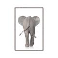 Picture of Behind Elephant _GroupedProduct_Rectangle_Portrait_Mini_ _GroupedProduct_Rectangle_Portrait_Canvas_Framed_